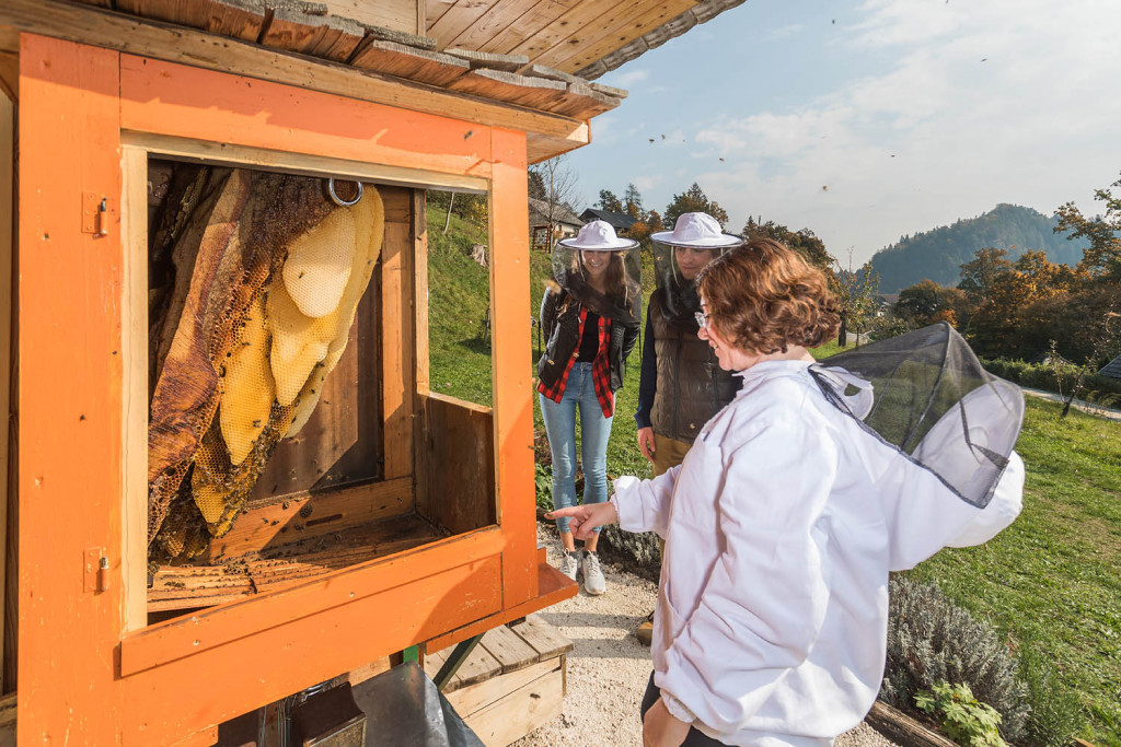 Obiskovalci so navdušeni nad prikazom življenja čebel v panju. (Foto: Jošt Gantar)